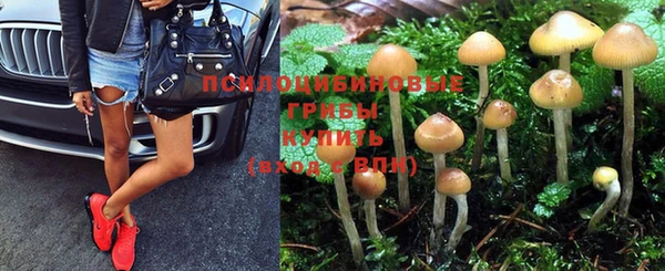 марки nbome Богданович